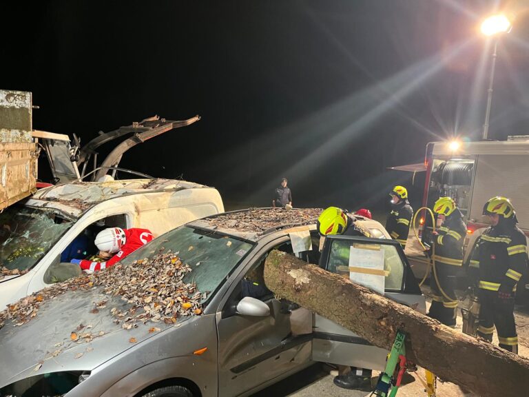 Übung: Verkehrsunfall mit landwirtschaftlichem Gespann